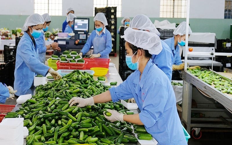 Conditions for exporting agricultural products