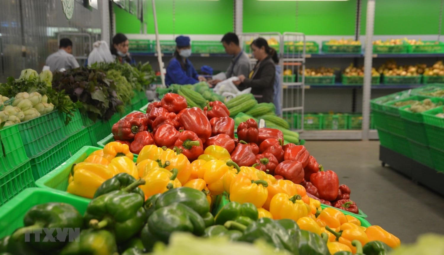 Vegetables and fruits exported