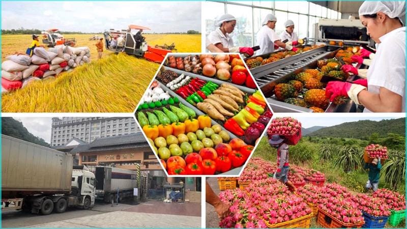 Agricultural Export Opportunities – A Growth Engine for Vietnam’s Agriculture Potential market for Vietnamese agricultural products