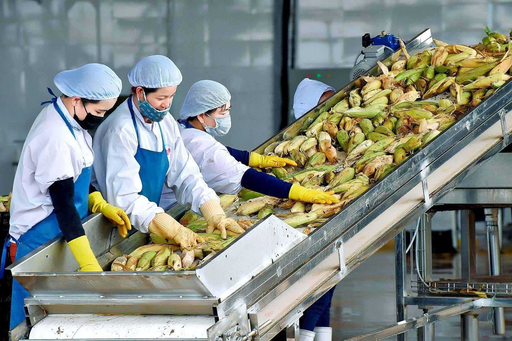 Emerging clean agricultural exports and future potential