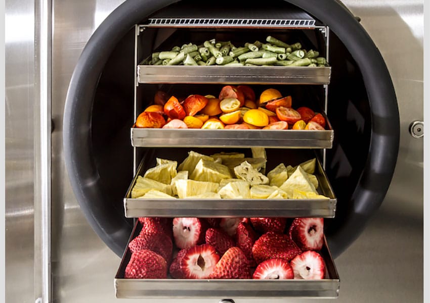 Freeze Drying