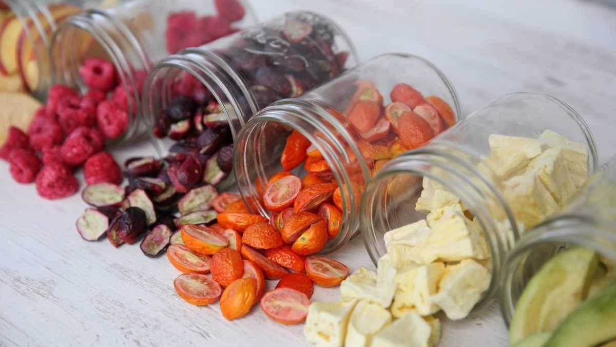 Freeze Drying