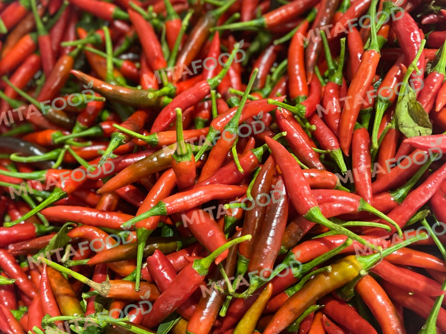 Global chili export market 