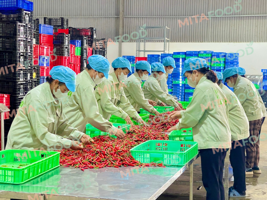 Processing and packaging