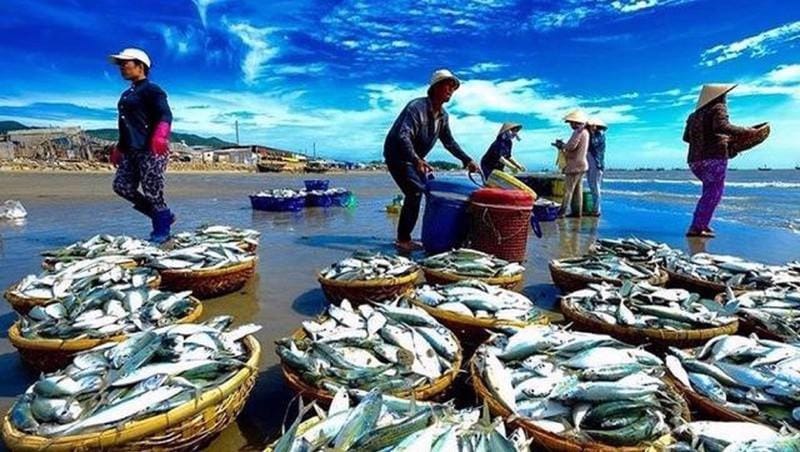 Seafood
