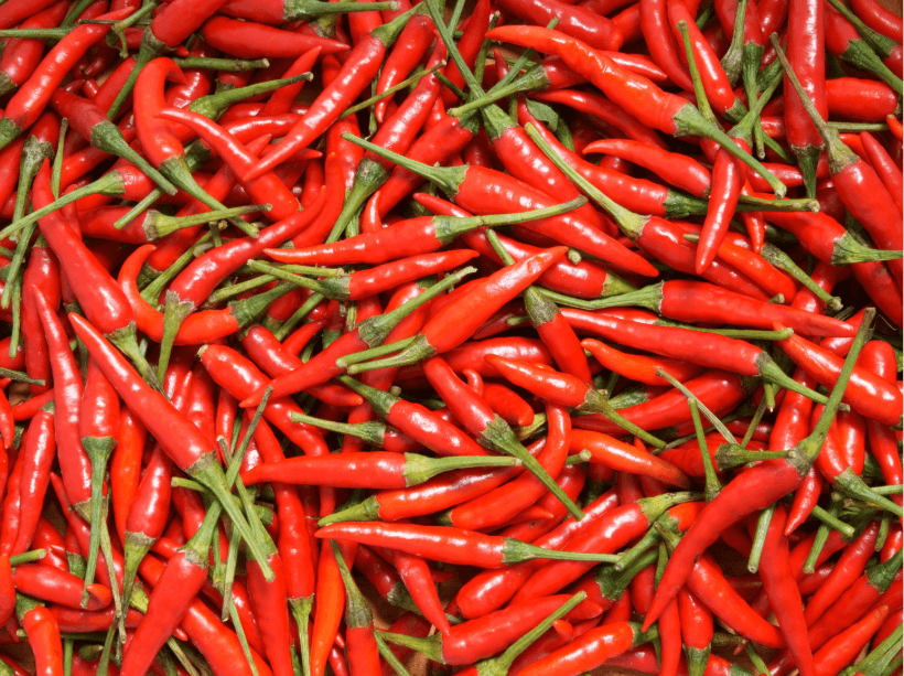 Diverse and fertile soil