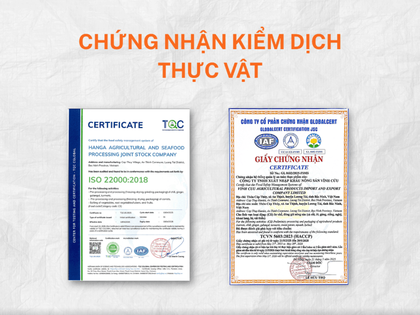 Chili export to china: A Comprehensive Guide from Opportunities to Procedures Phytosanitary Certificate