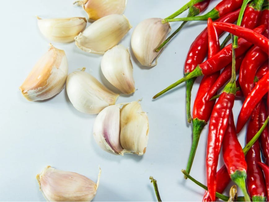 Support to enhance resistance and immunity