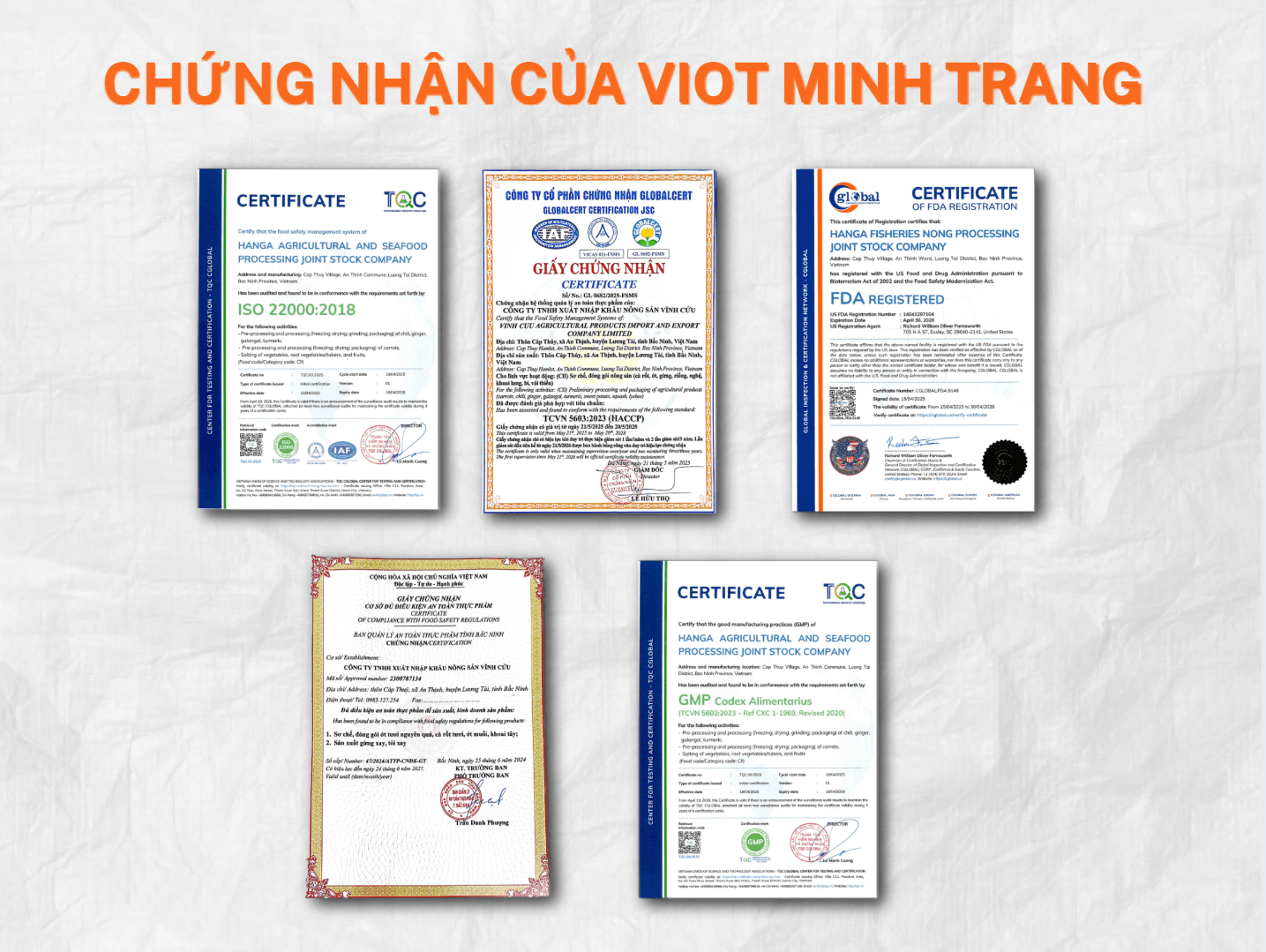 Viet Minh Trang - NO. 1 PRESTIGIOUS CHILI EXPORTER