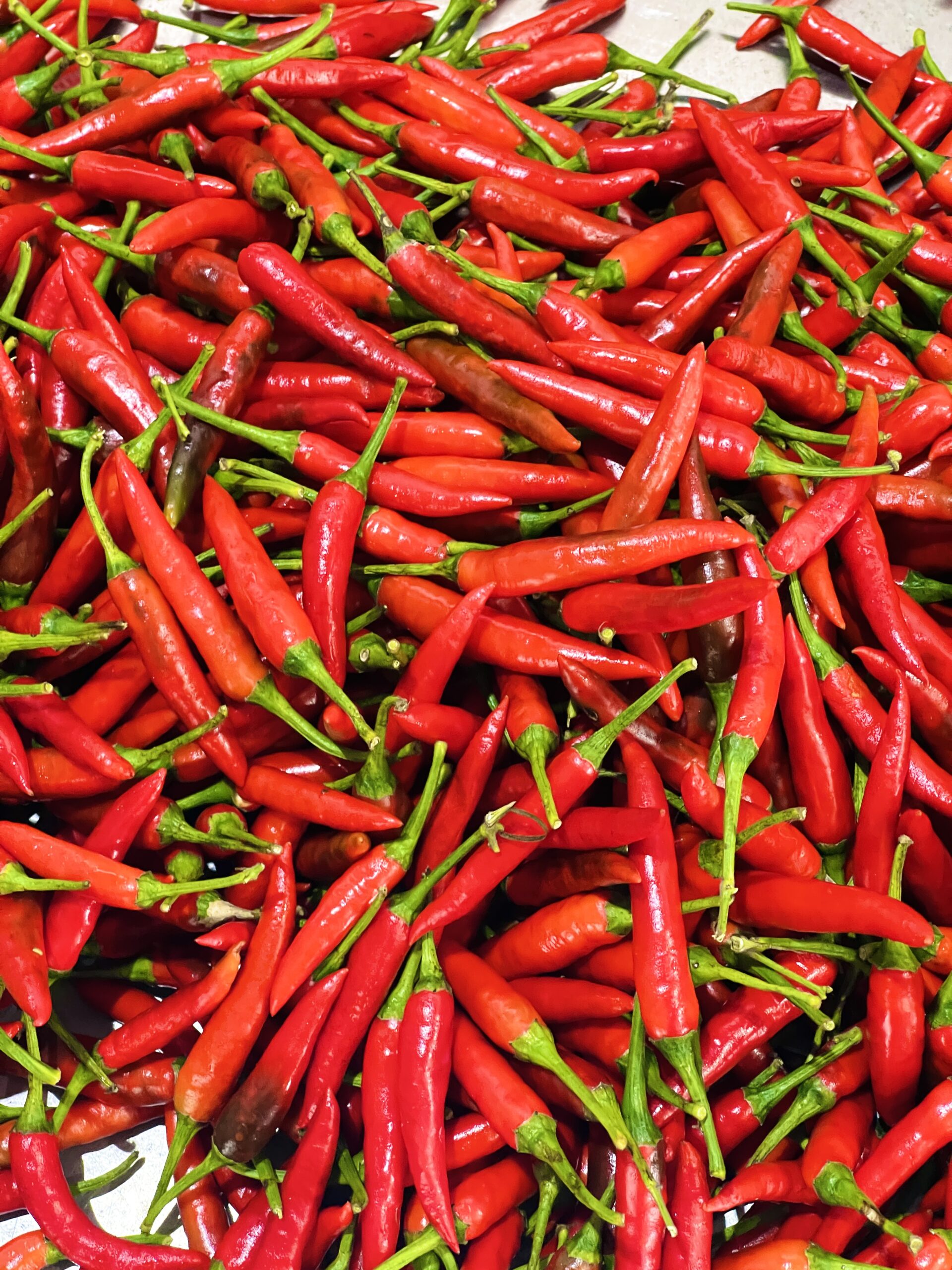 International Standard Pickled Chili Export | VIOT Company