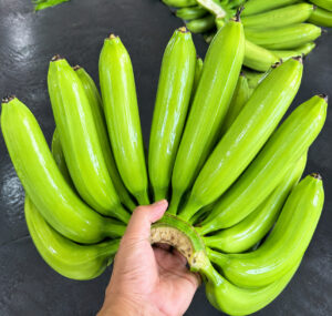 Fresh Cavendish Banana from MITAFOOD in Vietnam