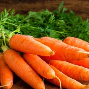 Fresh Carrots