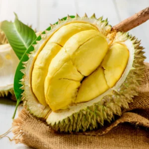 Fresh durian