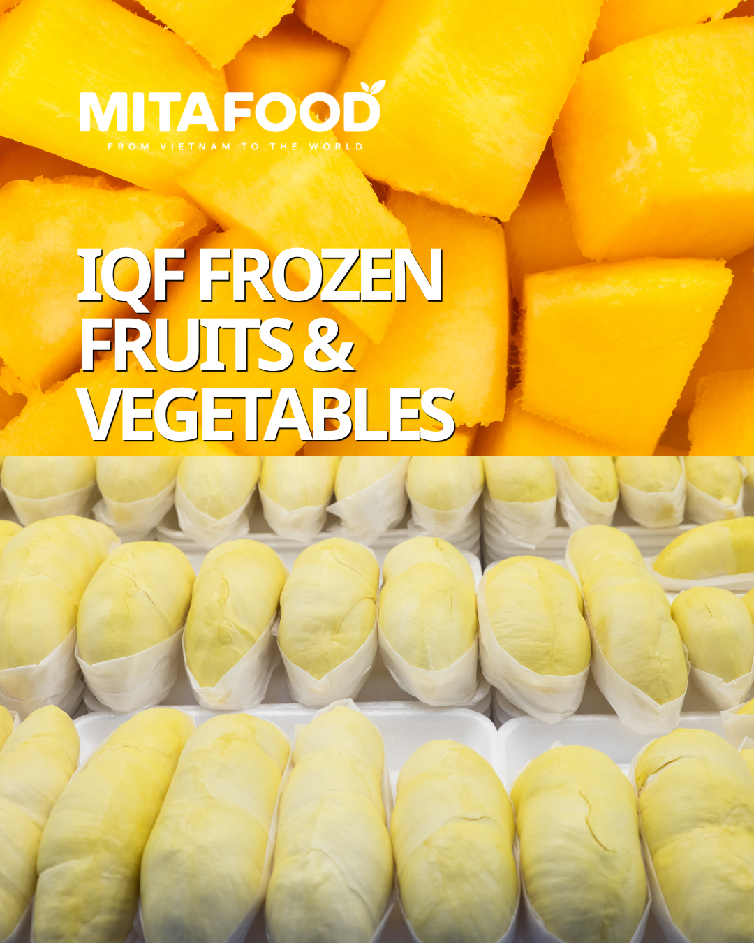 IQF Frozen Fruits & Vegetables