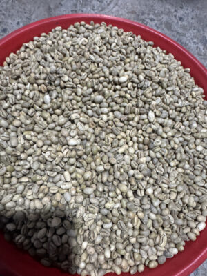 Culi Arabica -  Green Coffee Beans – Grade 1,2,3