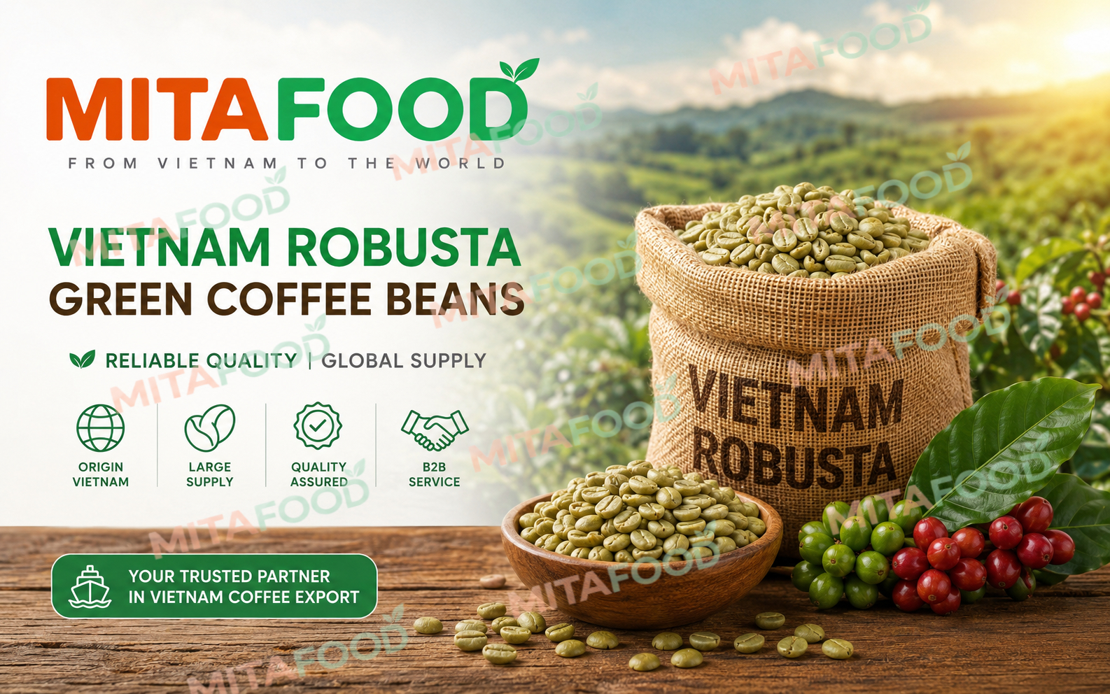Large-volume Vietnam robusta green coffee beans for export MitaFood – No. 1 Quality Vietnam Robusta Green Coffee Beans Supplier
