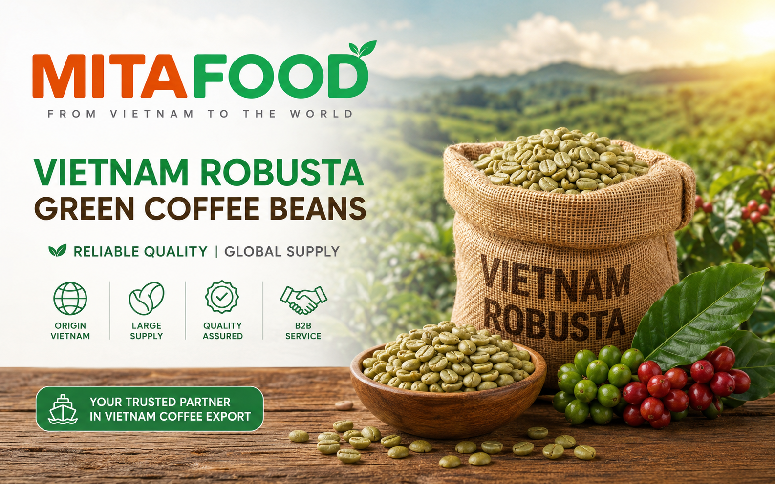Large-volume Vietnam robusta green coffee beans for export MitaFood – No. 1 Quality Vietnam Robusta Green Coffee Beans Supplier