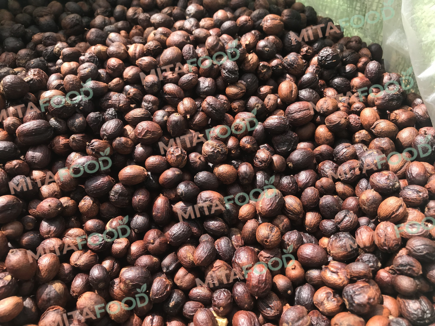 Large-volume Vietnam robusta green coffee beans for export Pre-processing method