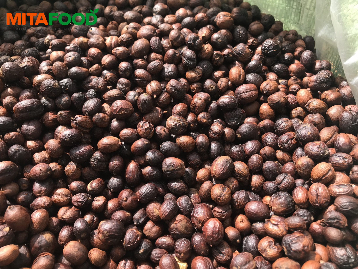Large-volume Vietnam robusta green coffee beans for export Pre-processing method