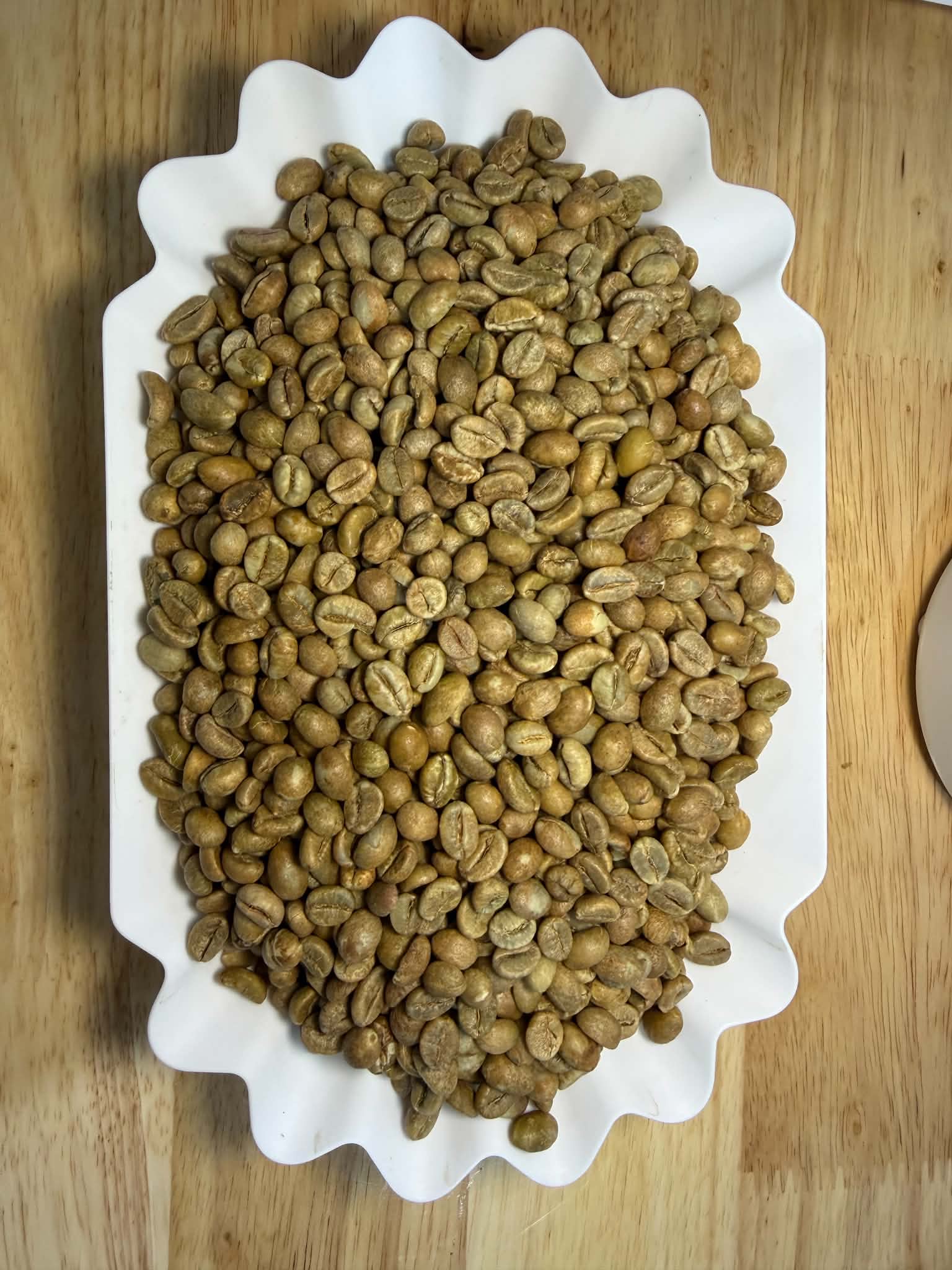 Robusta Green Coffee Beans – Dry Processed, Grade 1