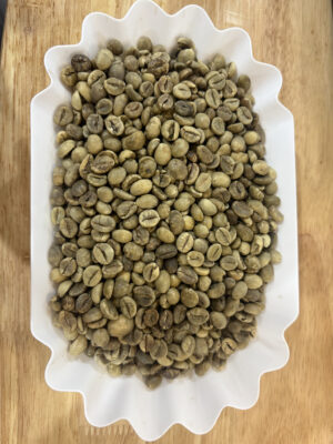 Robusta Green Coffee Beans – Wet Polished, Grade 1