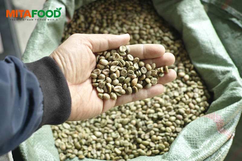 Large-volume Vietnam robusta green coffee beans for export Vietnamese Robusta Green Coffee