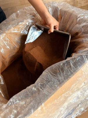 Alternative view of Instant Coffee – Spray-Dried (Fine Robusta)