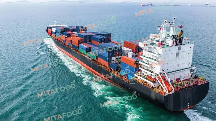 Convenient sea freight to major ports