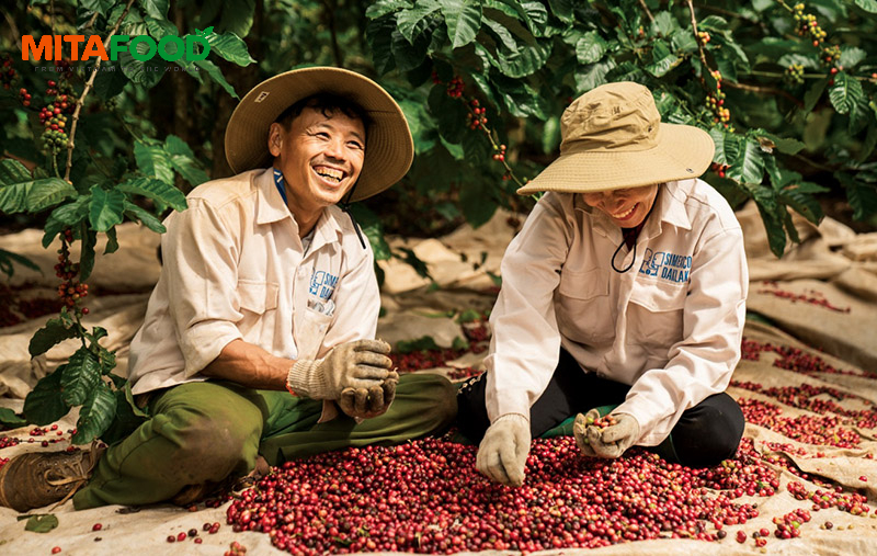Does the wholesale coffee price change based on order volume?