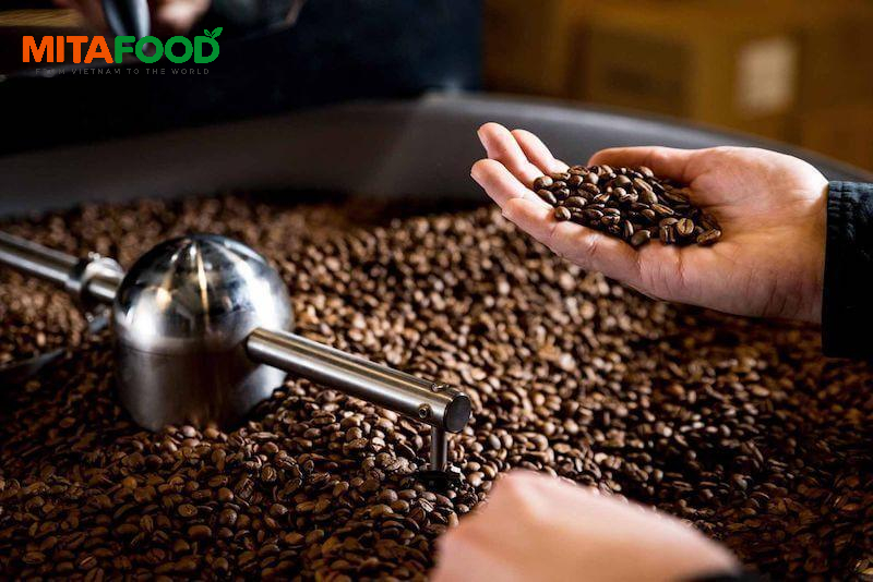 Top Vietnam coffee exporter in the global market Large-scale supply capacity
