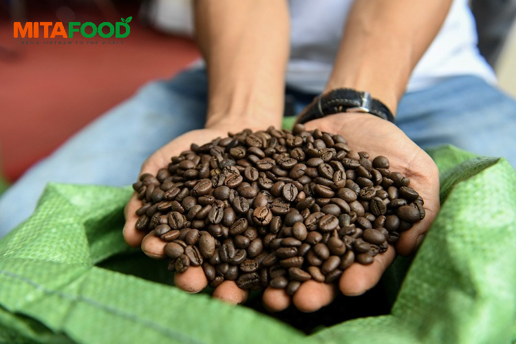 Standardized quality coffee beans sourced from growing regions