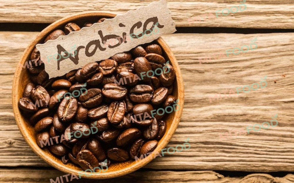 High quality arabica coffee green beans exporter in Vietnam Key characteristics of arabica green coffee beans