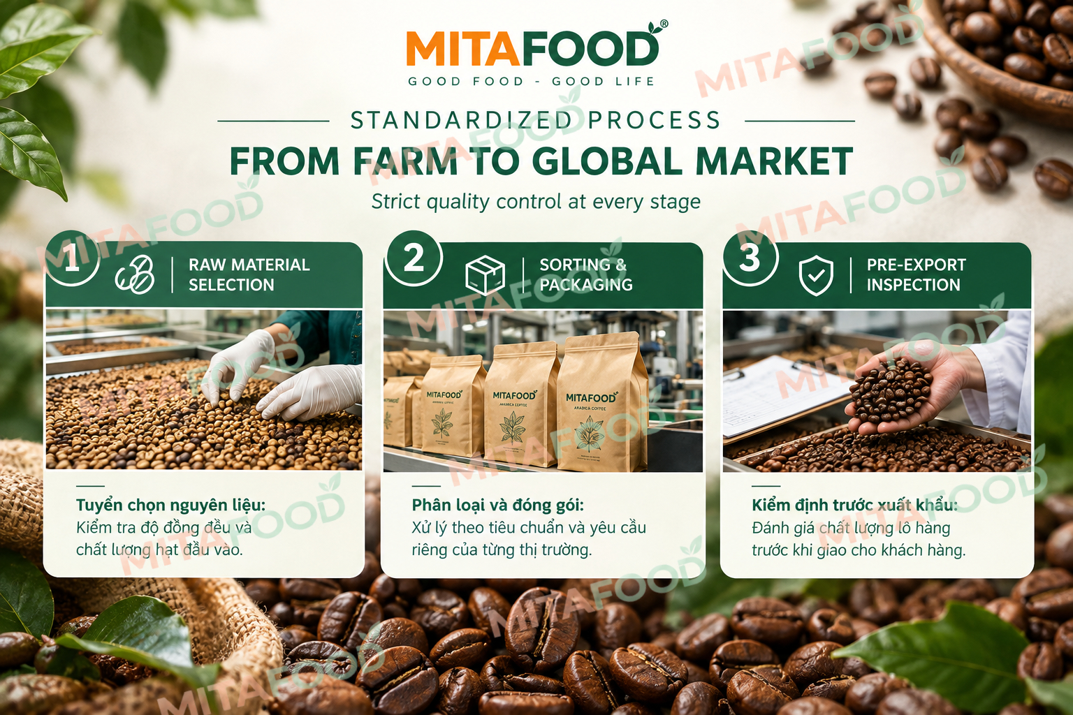 High quality arabica coffee green beans exporter in Vietnam Modern infrastructure and standardized processing