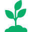 Growing region & Altitude