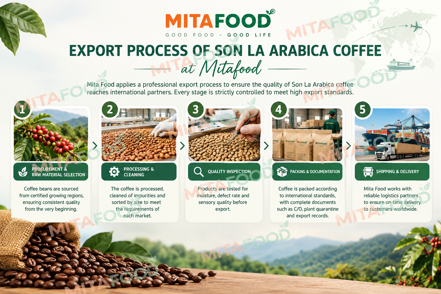 High quality arabica coffee green beans exporter in Vietnam Son La arabica coffee export process at Mitafood