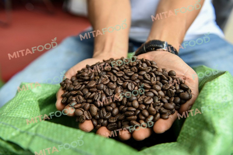 Standardized quality coffee beans sourced from growing regions