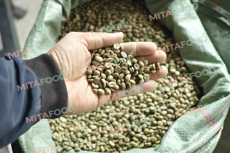 Large-volume Vietnam robusta green coffee beans for export Vietnamese Robusta Green Coffee