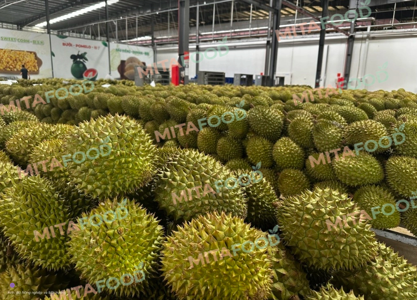 Does Mita Food have FDA registration for export shipments?