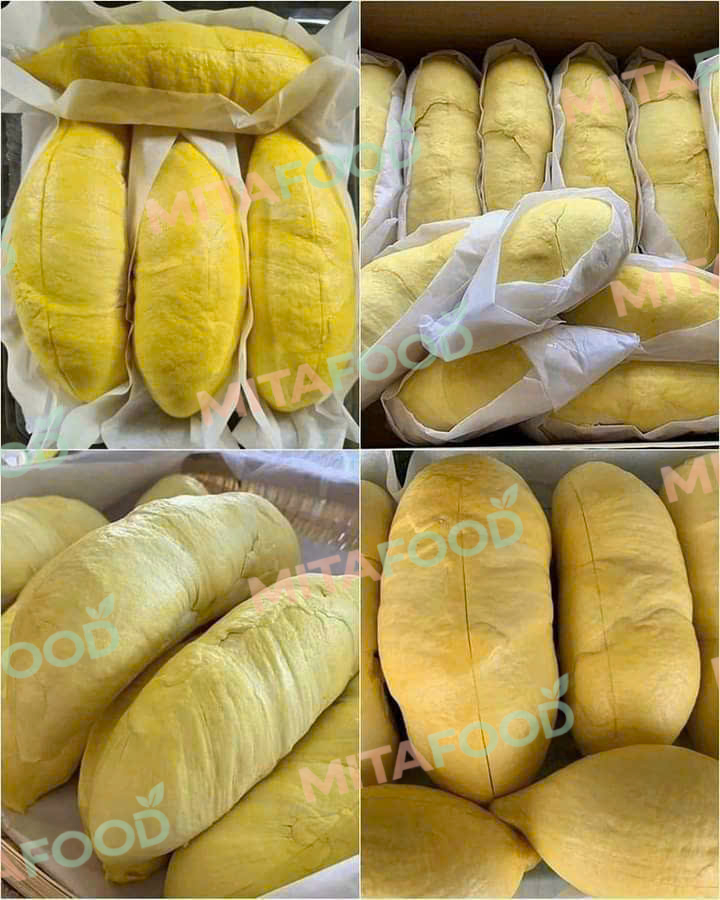 Latest updates on the durian export market Growth trends and market structure of Vietnam’s durian export market