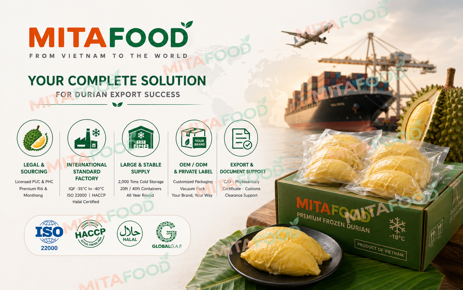 Latest updates on the durian export market Mita Food – comprehensive solutions for businesses entering the durian export market