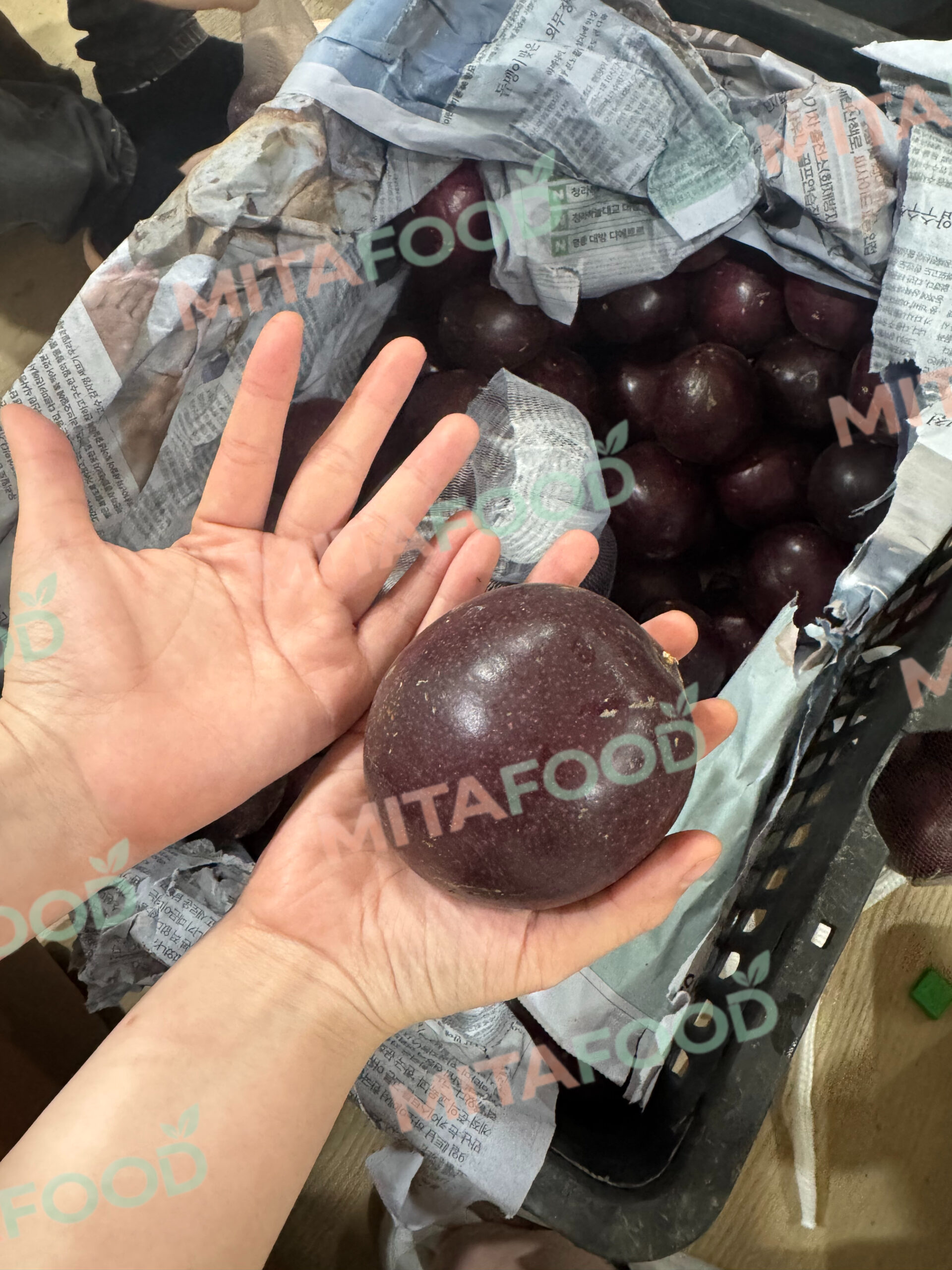 Reference export passion fruit prices from Mita Food