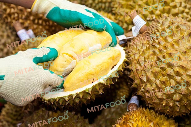 B2B supplier for durian exports to the US Which frozen durian packaging formats are most popular in the US market?
